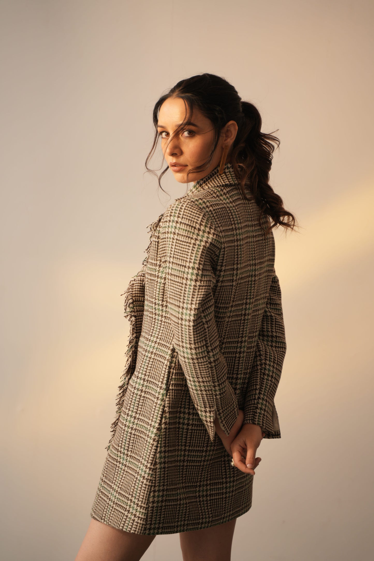 Eva Brown Jacket Dress