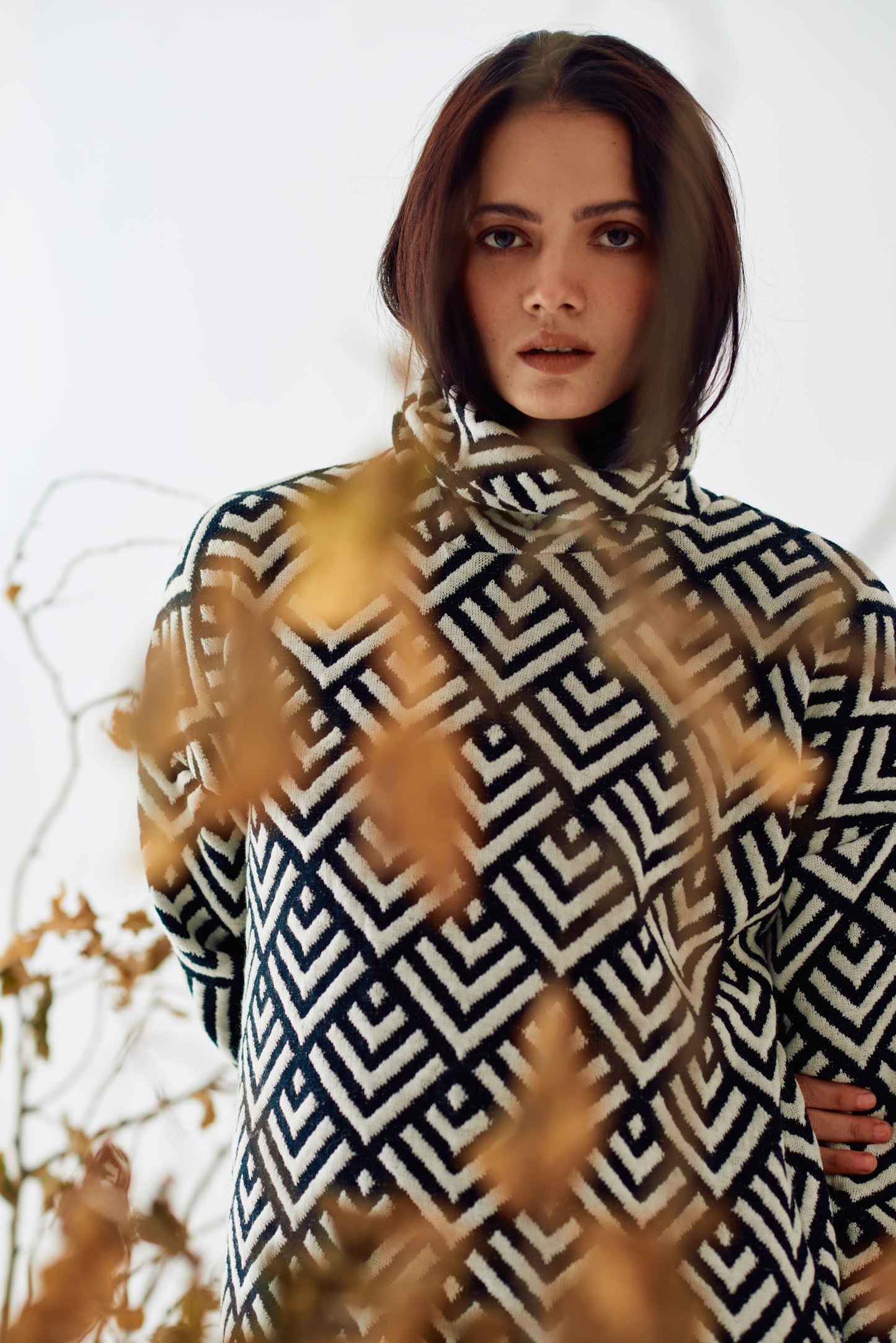 THE ZEBRA DRESS