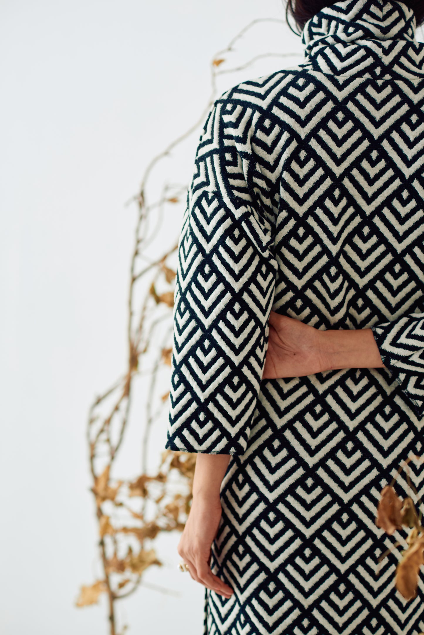 THE ZEBRA DRESS