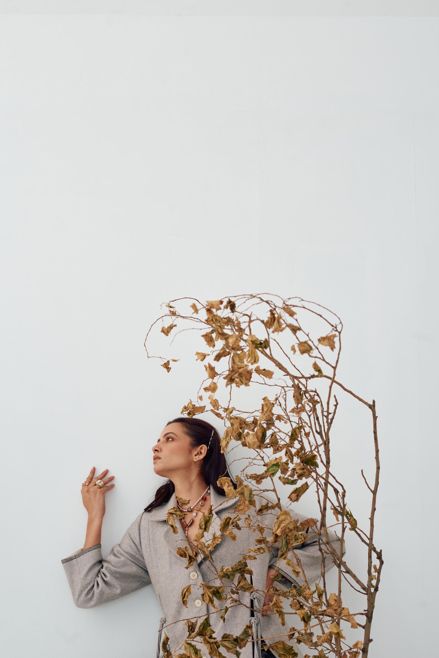 DANDELLION JACKET